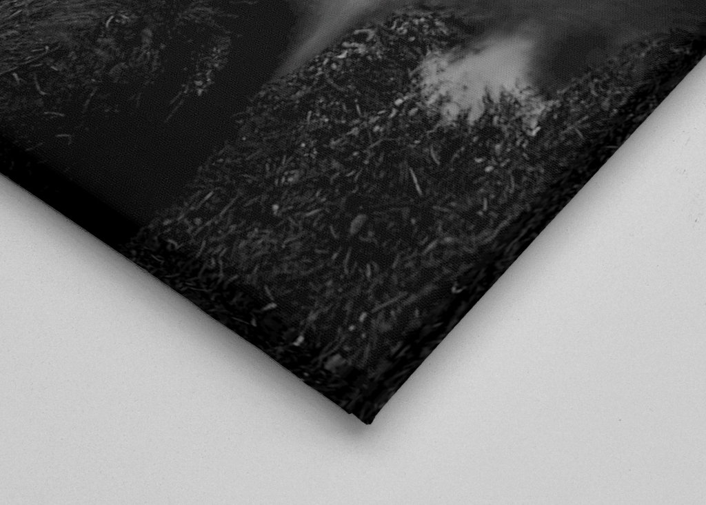 Woda przepływa przez las