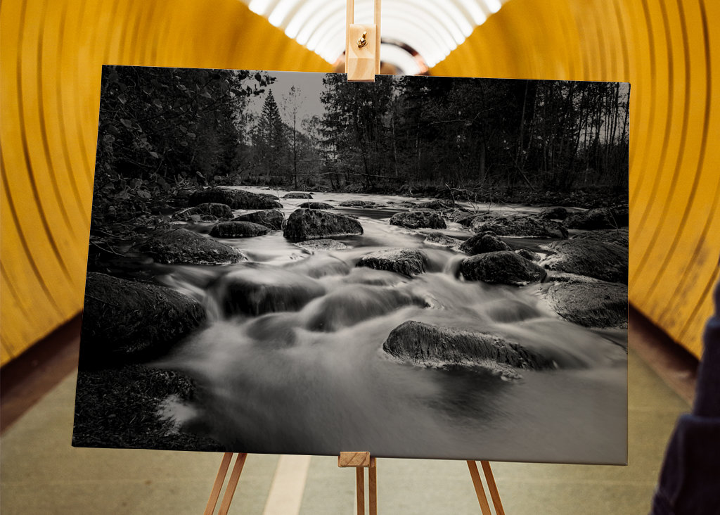 Woda przepływa przez las