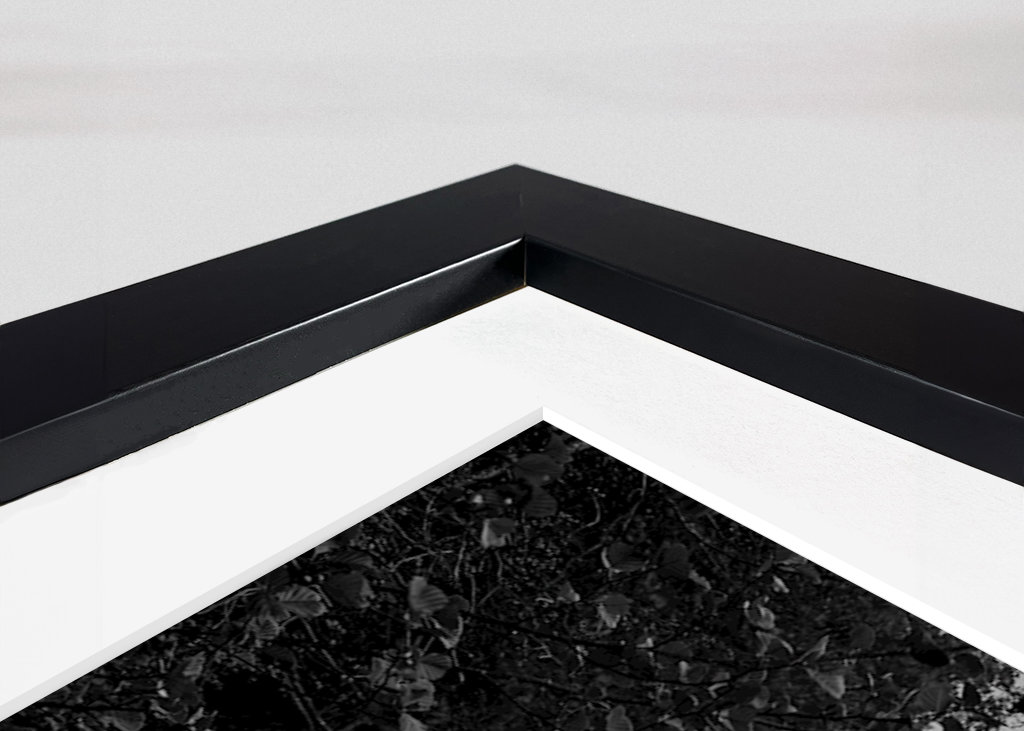 Woda przepływa przez las