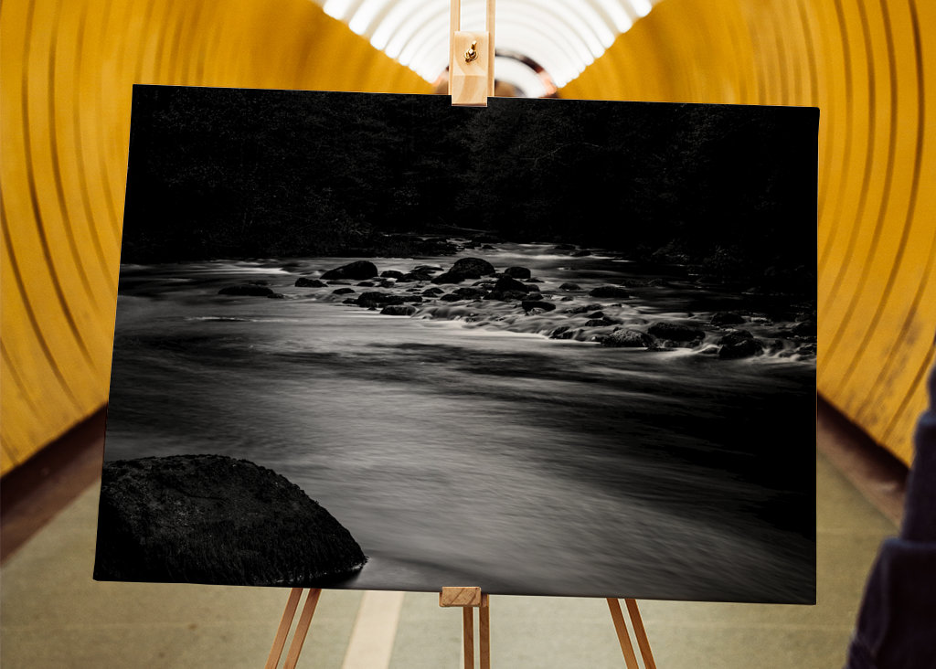 Vand løber gennem skoven