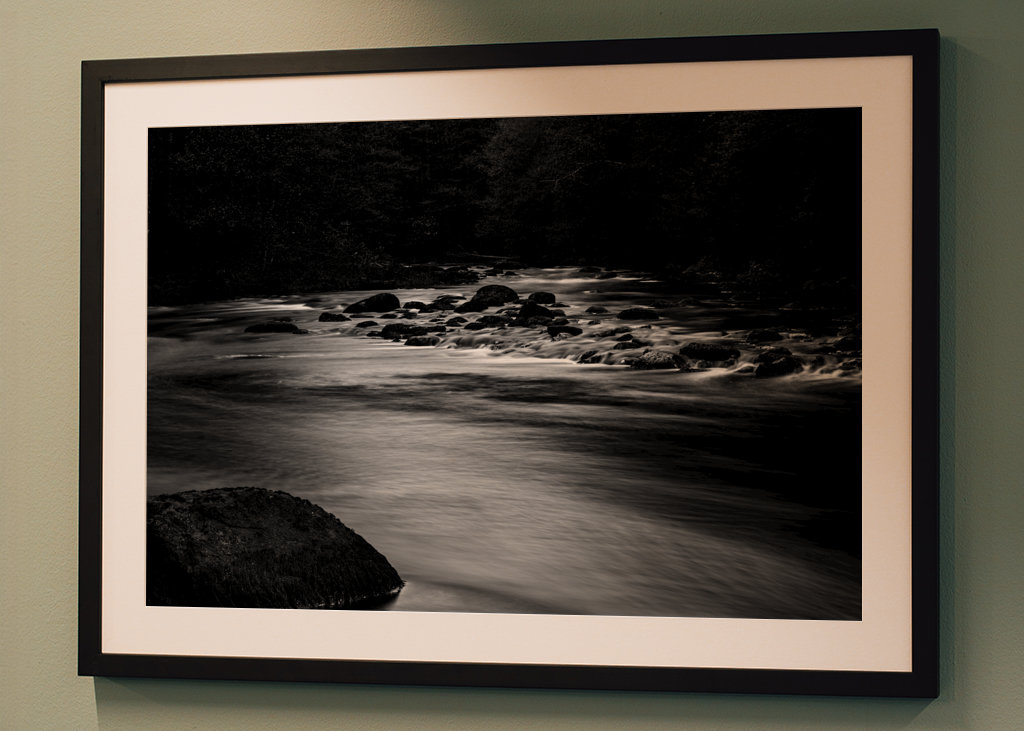 Vand løber gennem skoven