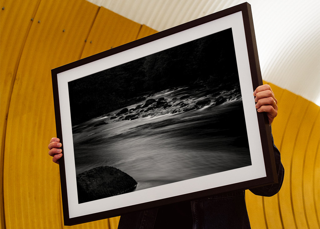 Vand løber gennem skoven