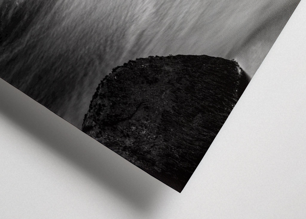 Vand løber gennem skoven