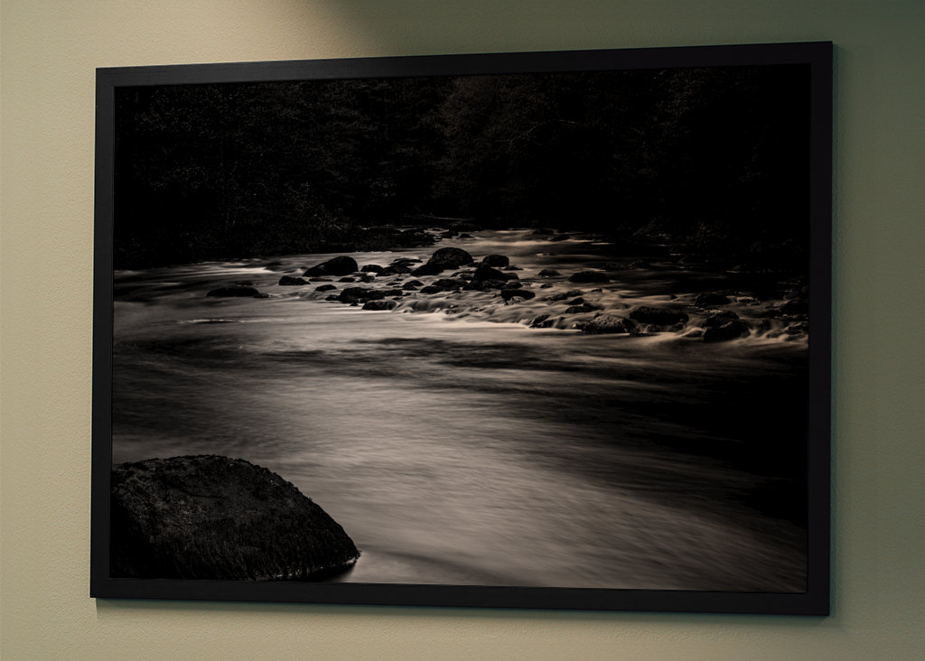 Vand løber gennem skoven