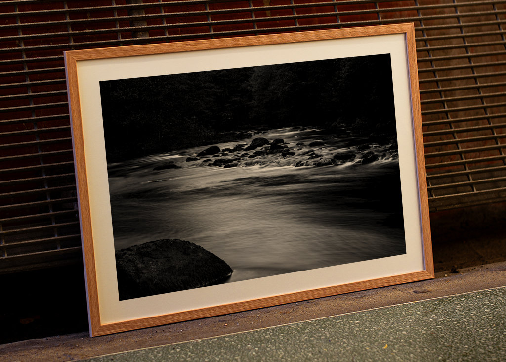 Vand løber gennem skoven