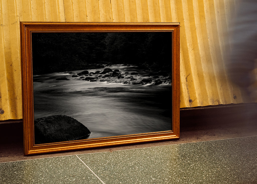 Vand løber gennem skoven