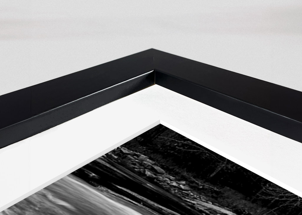 Woda przepływa przez las