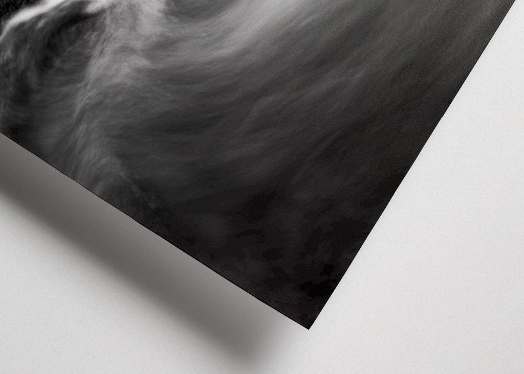 Woda przepływa przez las