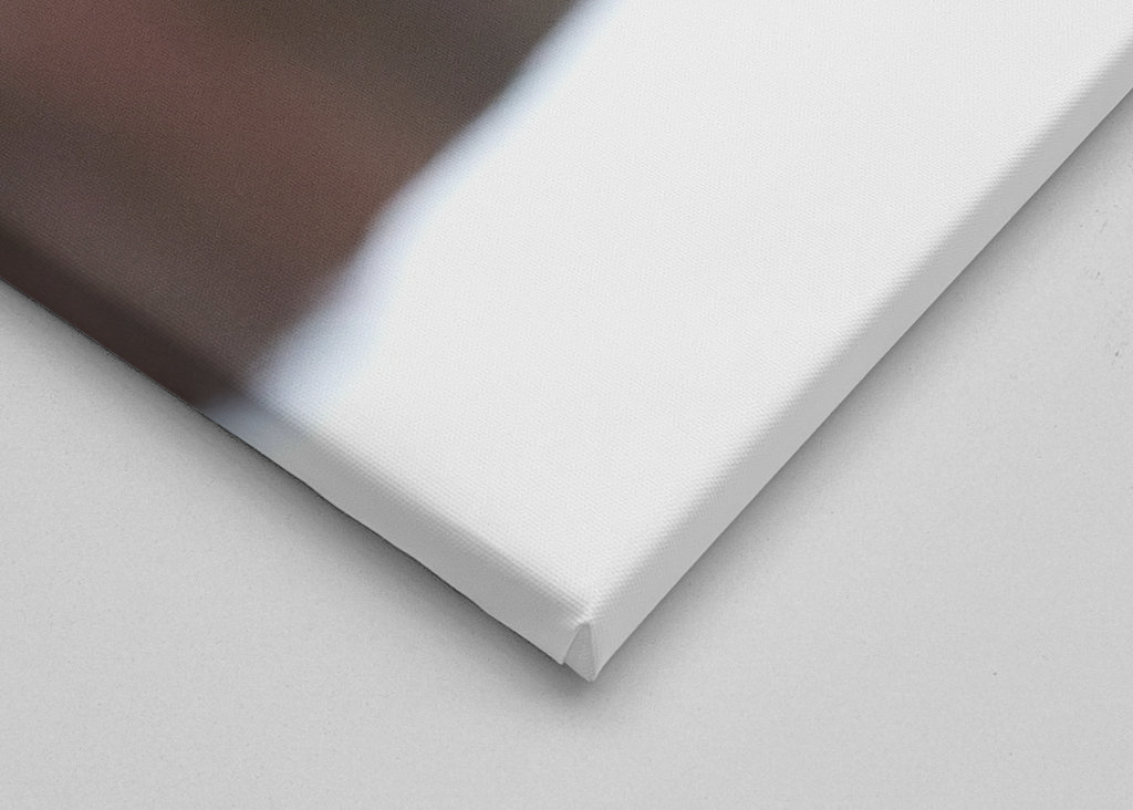 Jestřáb lesní (mladá samice)