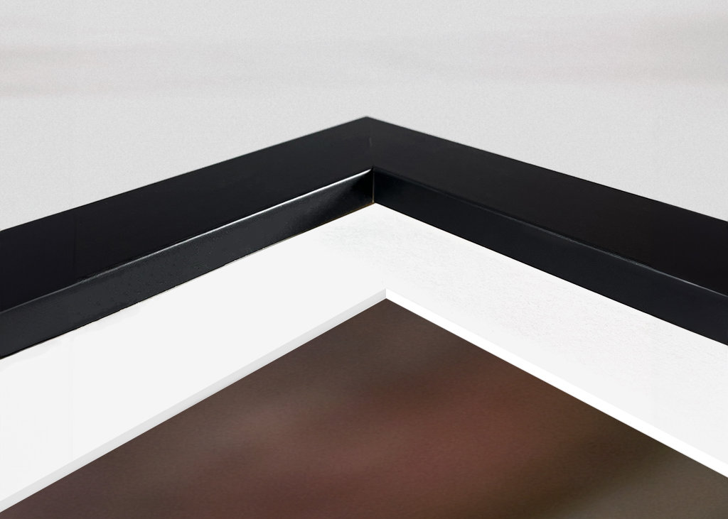 Jestřáb lesní (mladá samice)