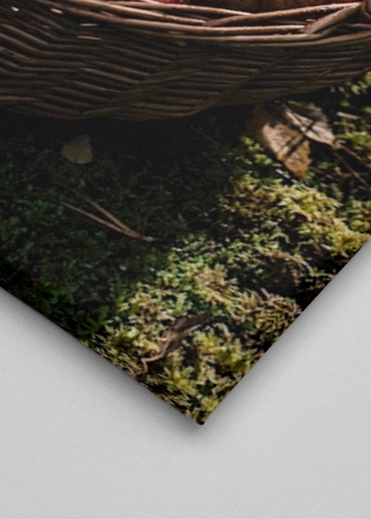 Manzanas en la cesta