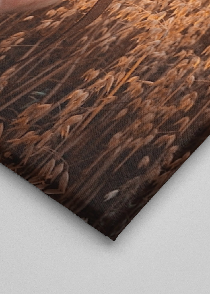 Flytande Retro Kamera