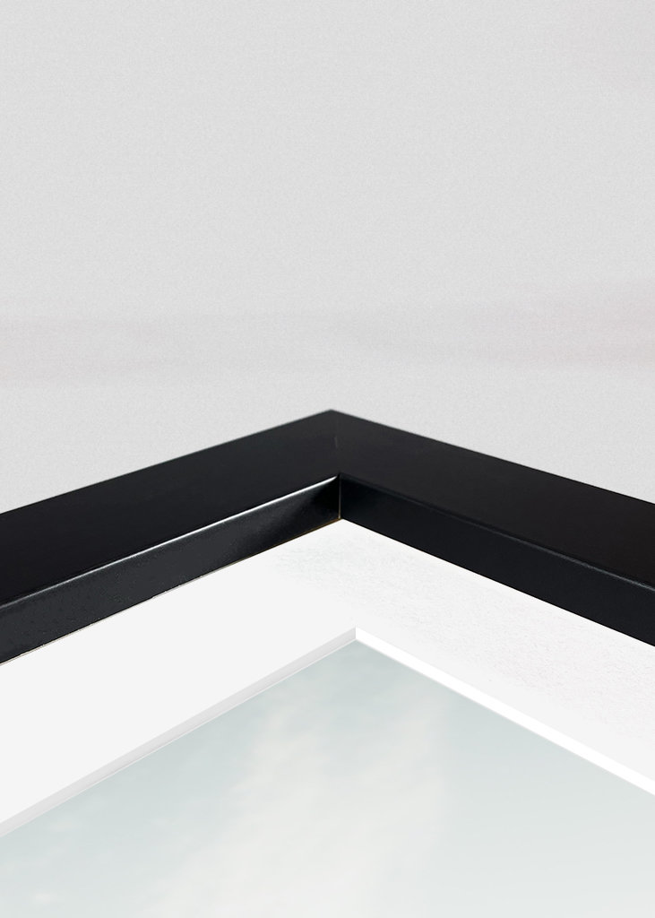 Flytande Retro Kamera