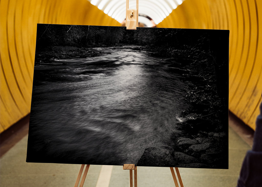 Woda przepływa przez las 4