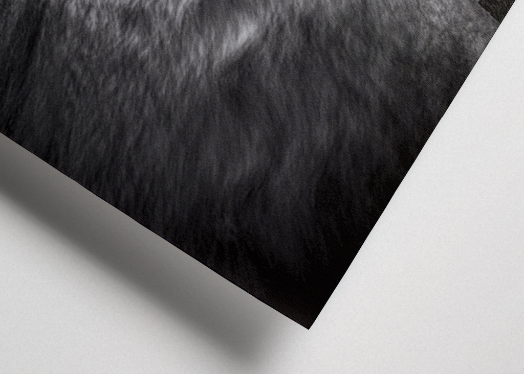 Woda przepływa przez las 4