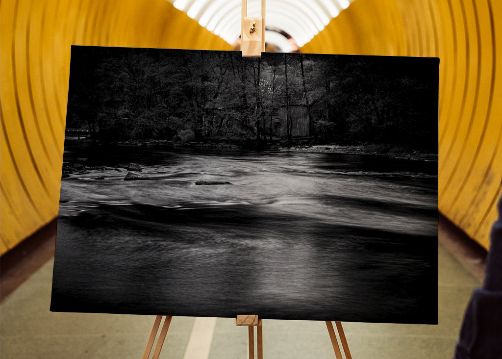 Woda przepływa przez las 6