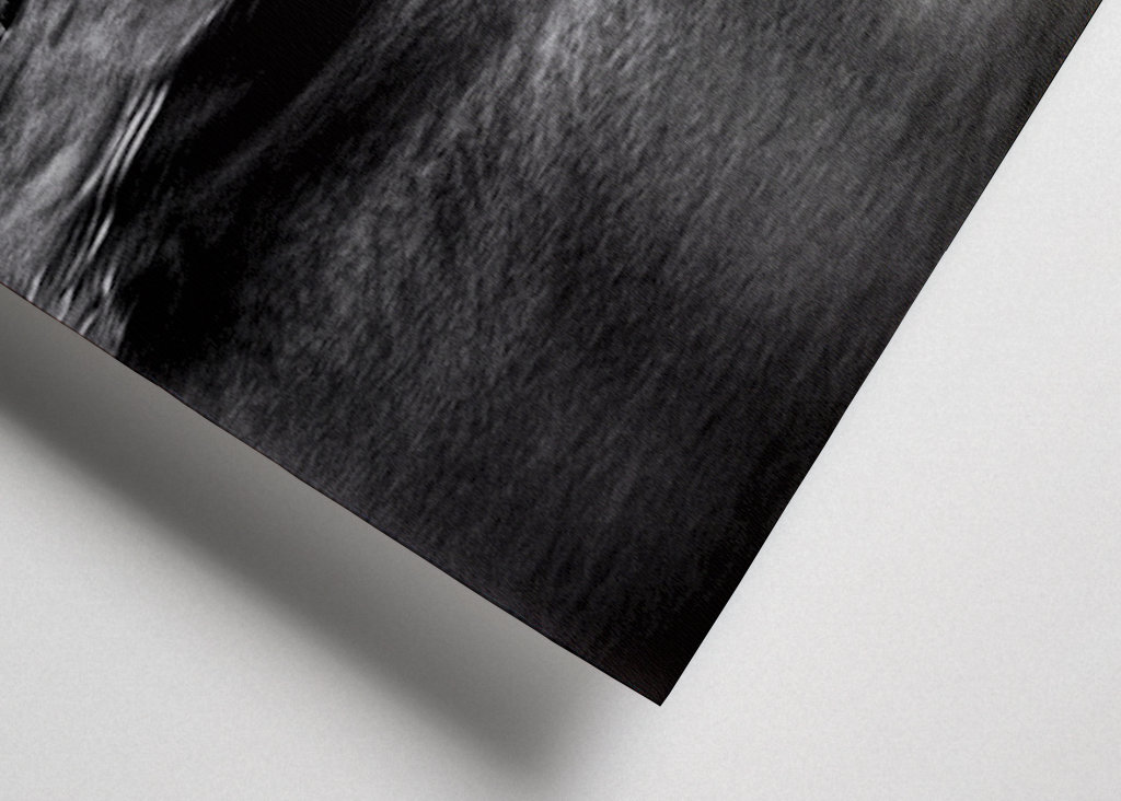 Woda przepływa przez las 6