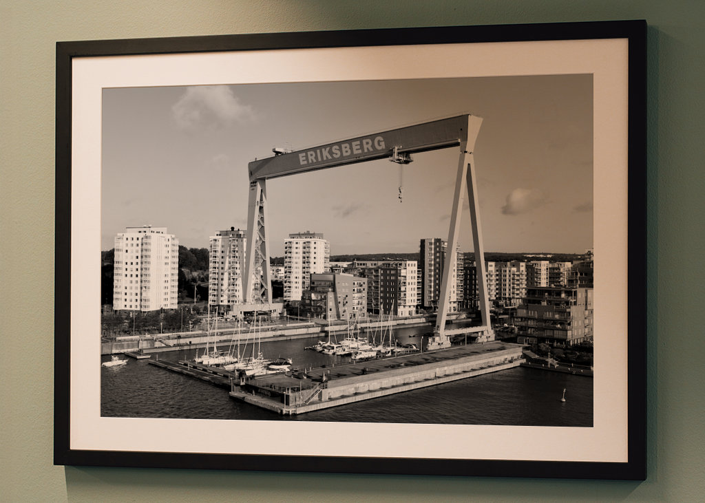 Grue noire et blanche