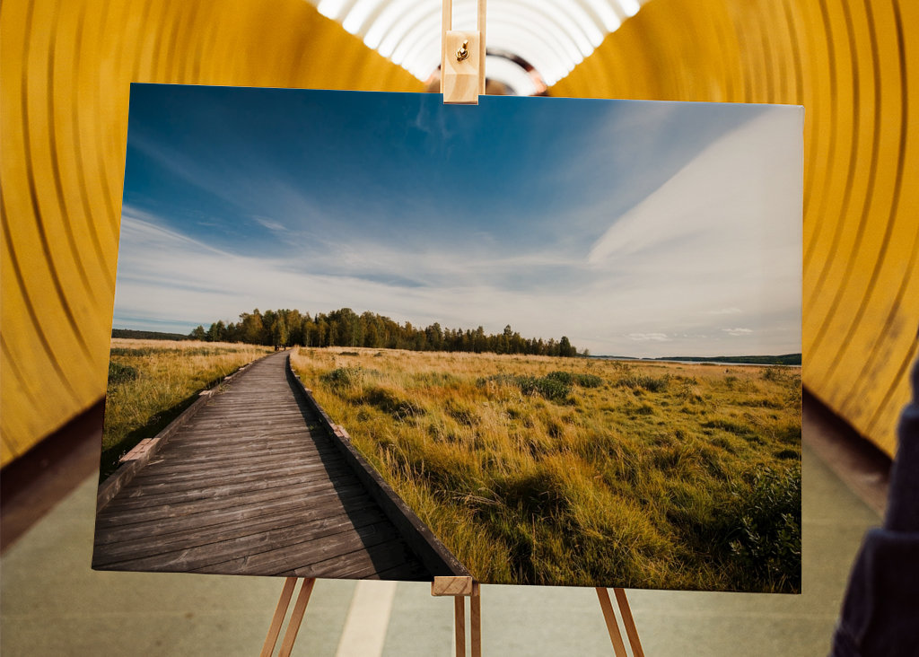 Stornäset på Alnö