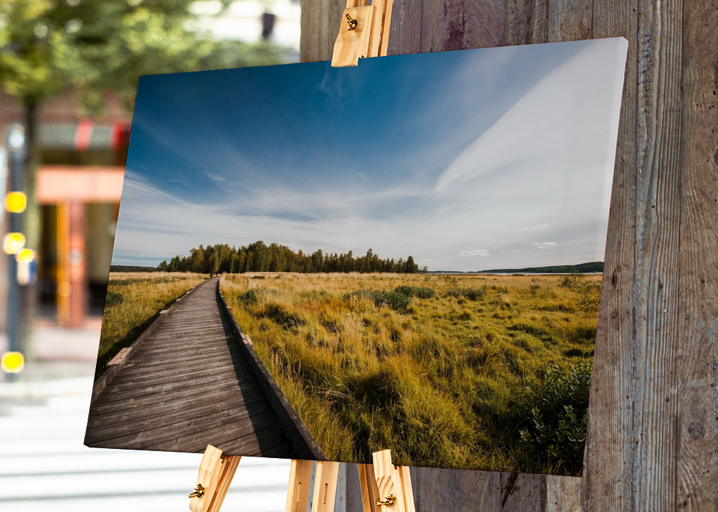 Stornäset på Alnö