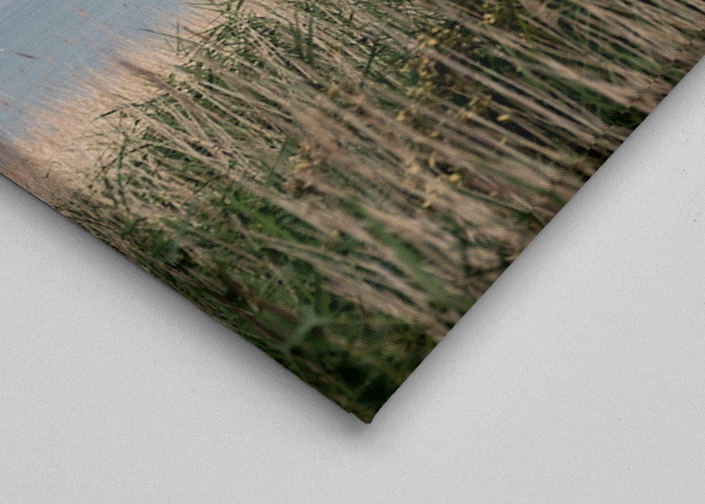 Letní ráno na Mostě