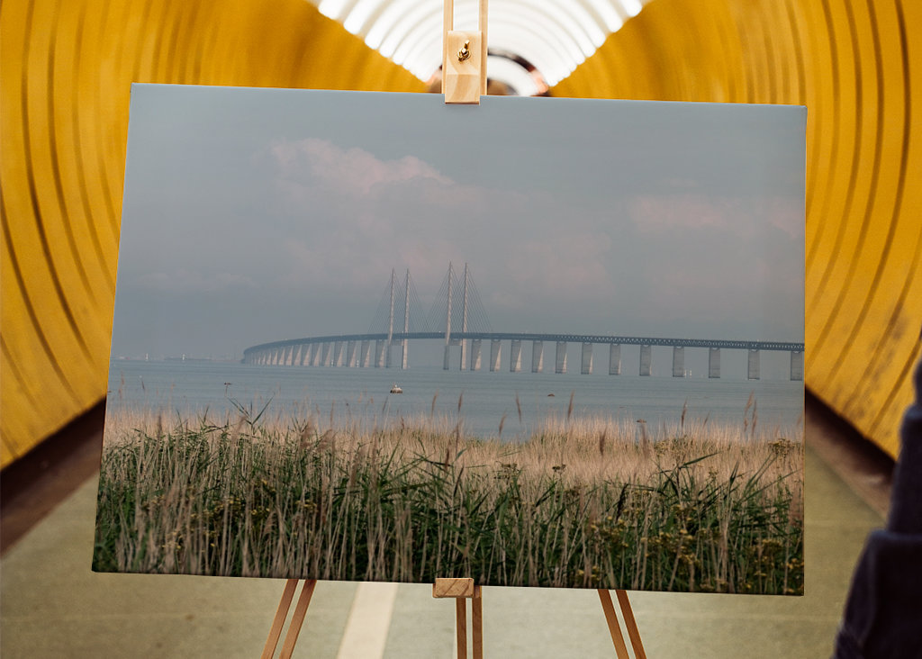 Letní ráno na Mostě