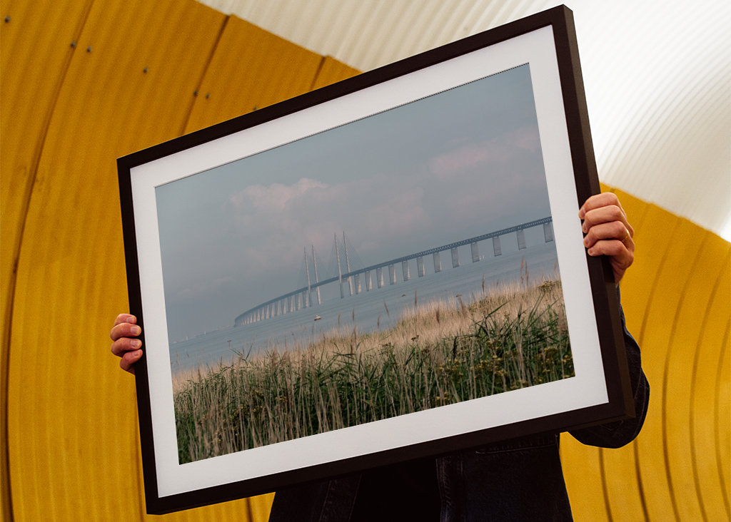 Letní ráno na Mostě