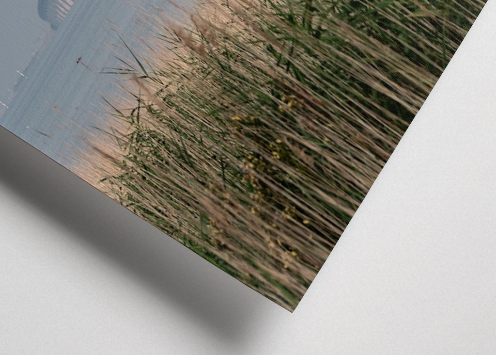 Letní ráno na Mostě