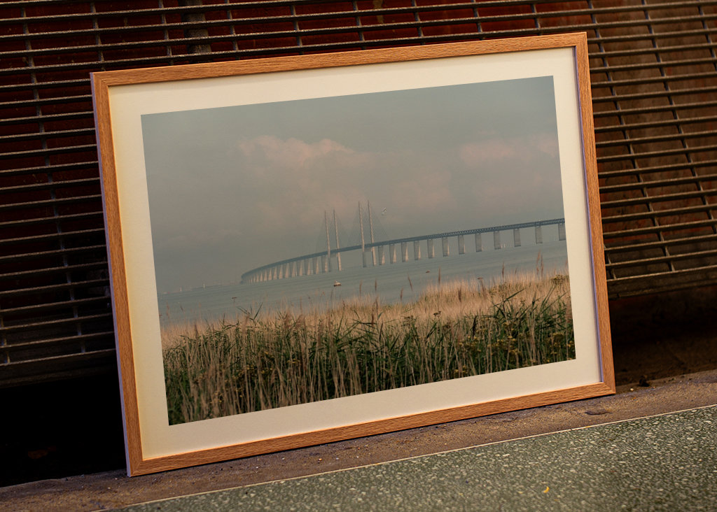 Letní ráno na Mostě