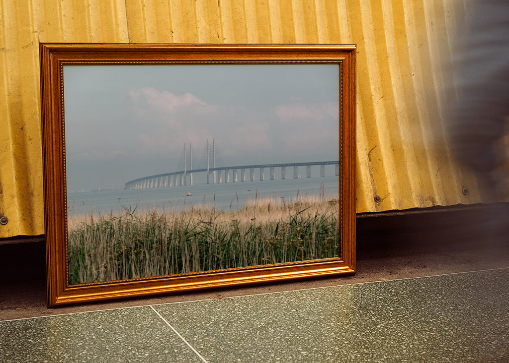 Letní ráno na Mostě