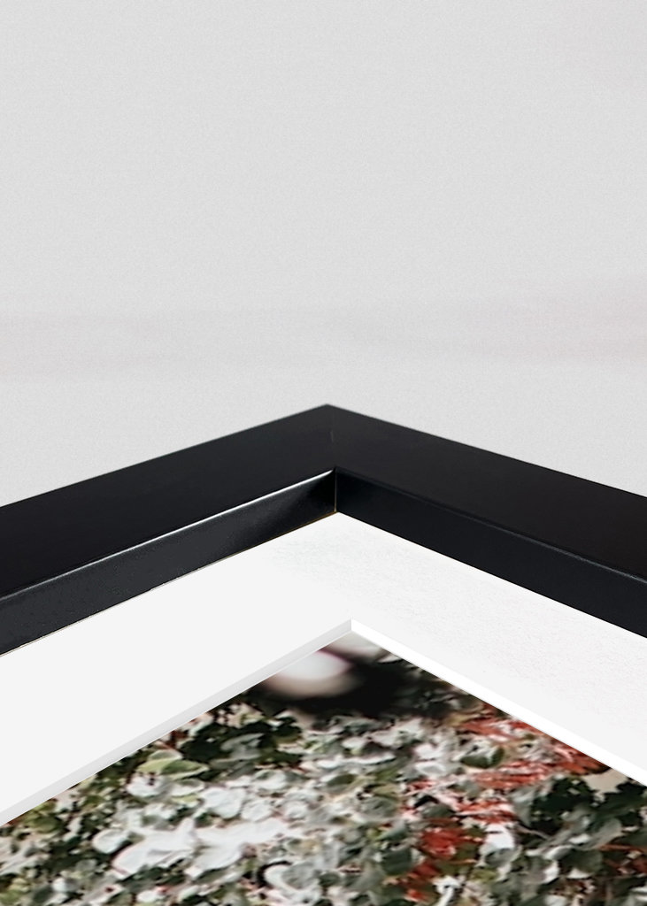 50  nyanser av grönt