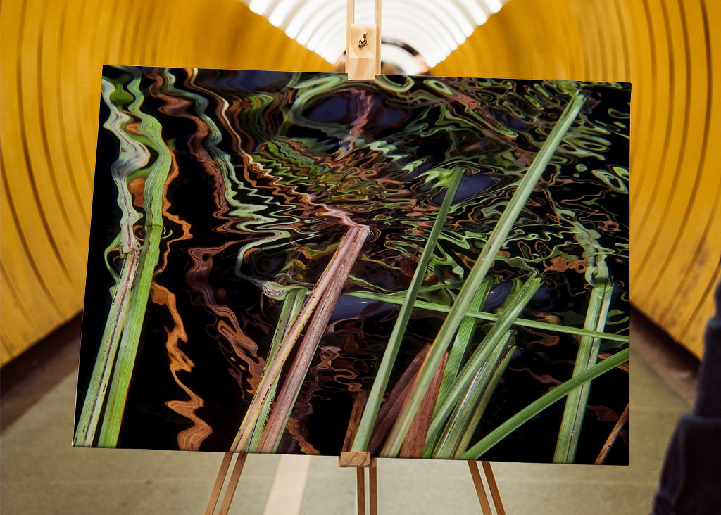 Odraz - zasít do rákosí