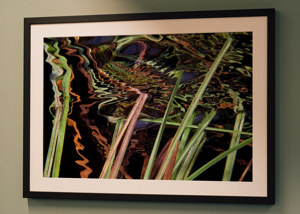 Odraz - zasít do rákosí