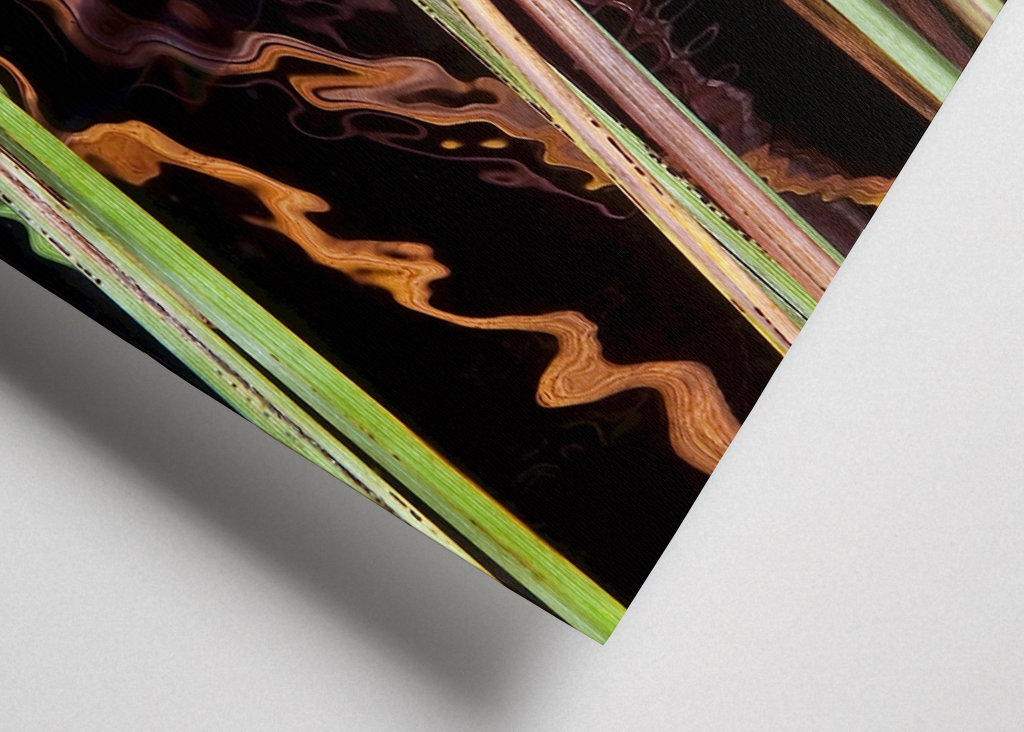 Odraz - zasít do rákosí