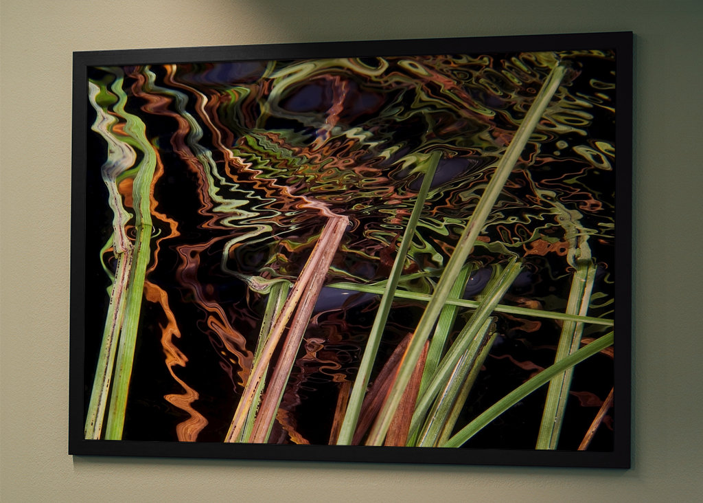 Odraz - zasít do rákosí