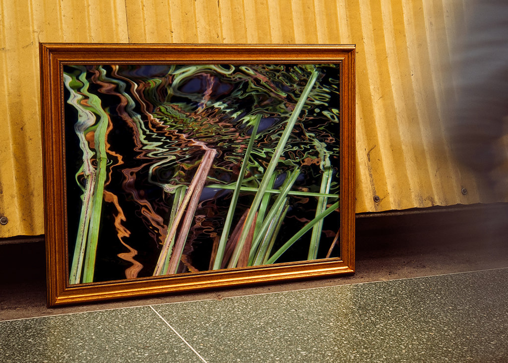 Odraz - zasít do rákosí