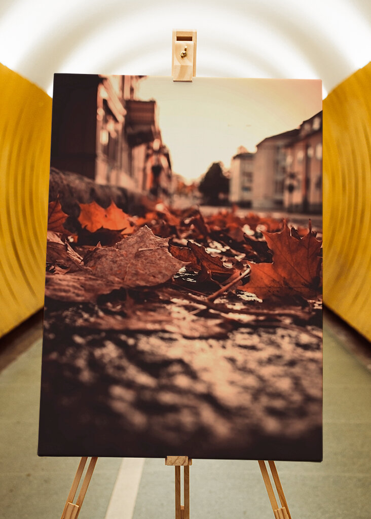 Dans la rue où j’habite