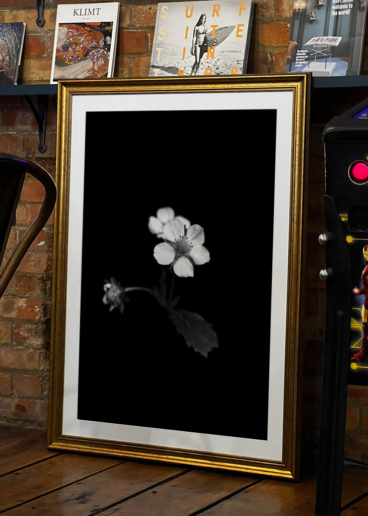 Smultronblomma řekl: