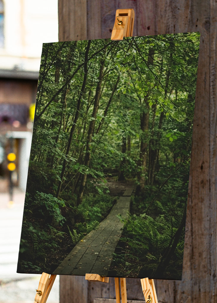 Vandresti i magisk skov