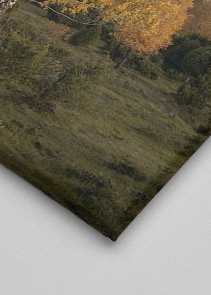 Chlapec a jeho strom