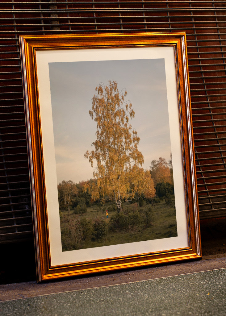 Chlapec a jeho strom