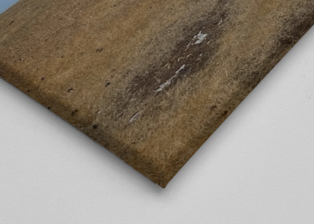 Casa in pietra su Öland