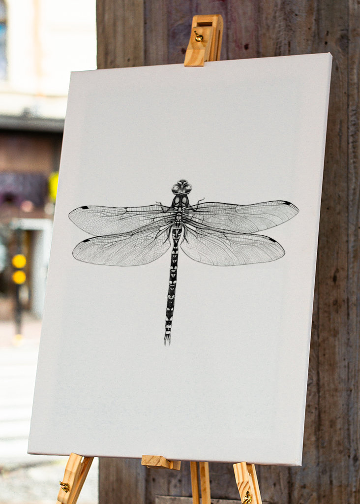 Dragonfly