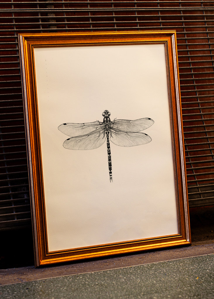 Dragonfly