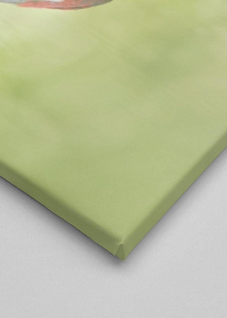 A lélek tükröződése