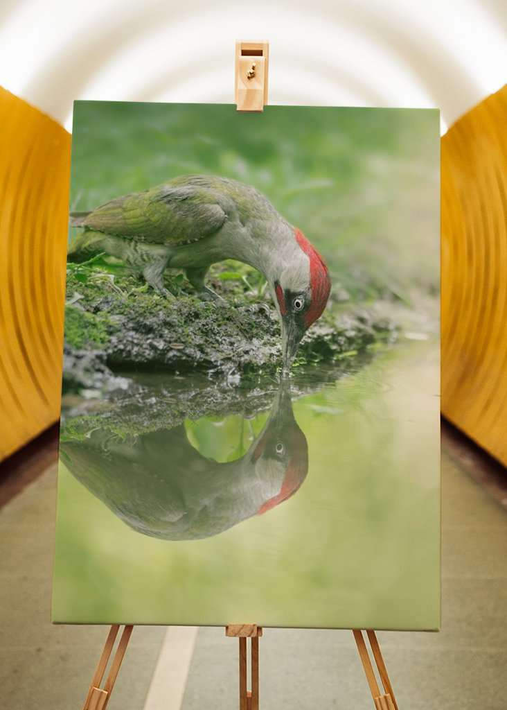 A lélek tükröződése