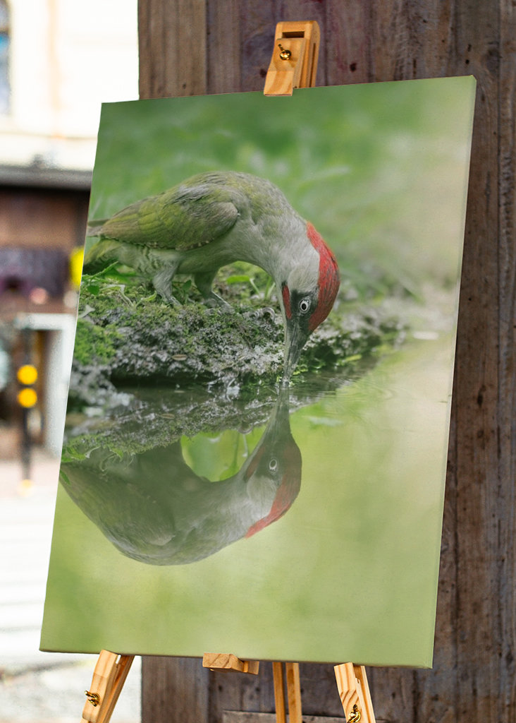 A lélek tükröződése