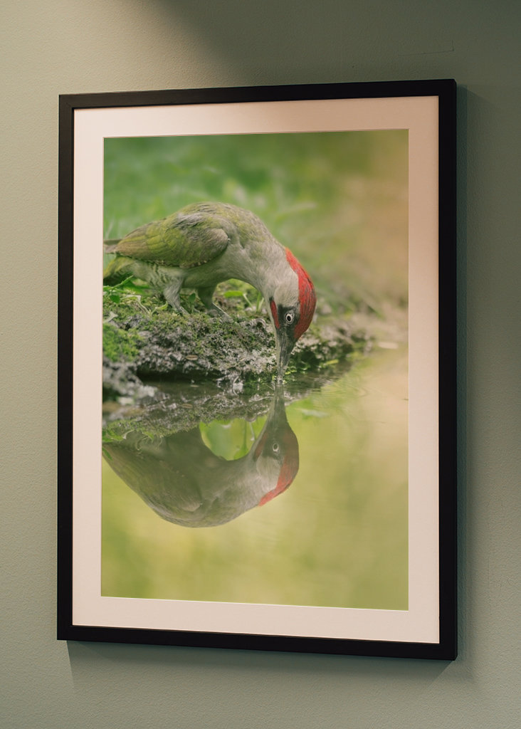 A lélek tükröződése