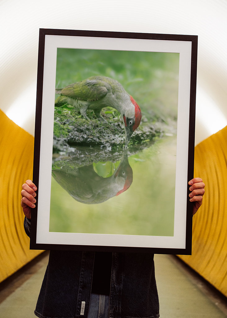 A lélek tükröződése