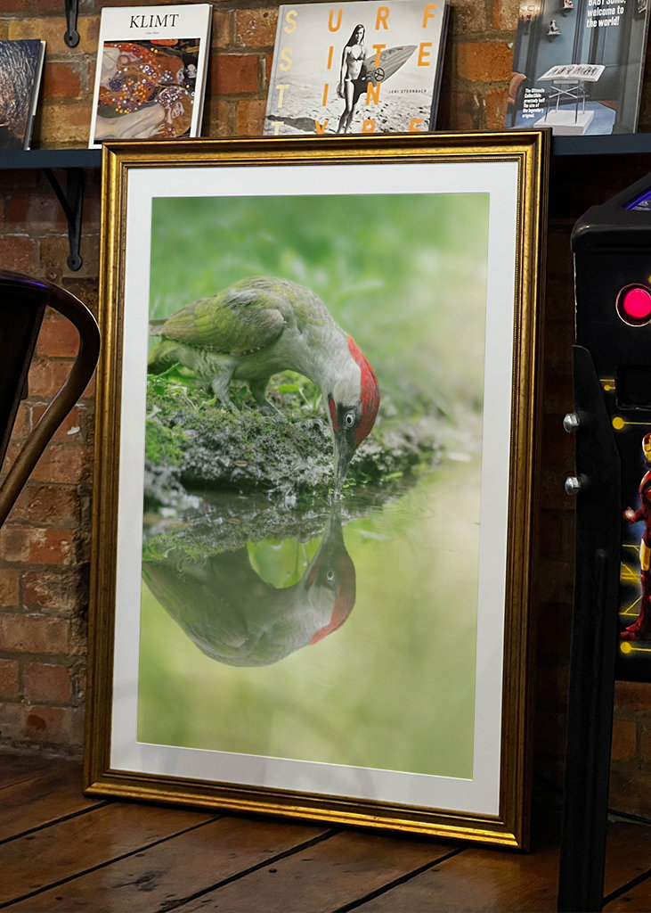 A lélek tükröződése